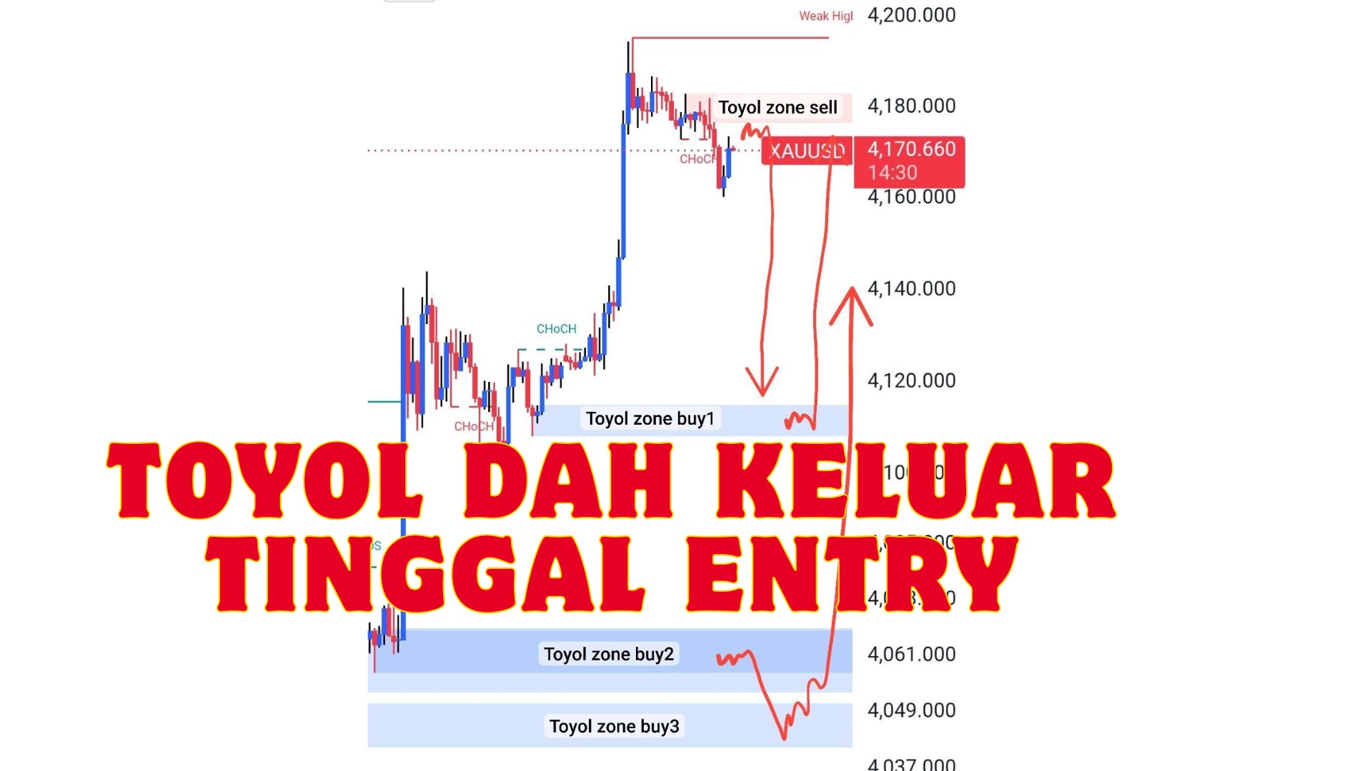 TRADER OTAI