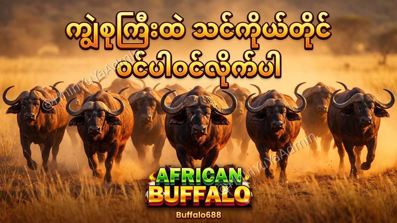 ကျွဲဂိမ်းအစစ် Buffalo688 ၊ကျွဲဘုရင် ၊ရှမ်းကိုးမီး၊ဘူကြီး