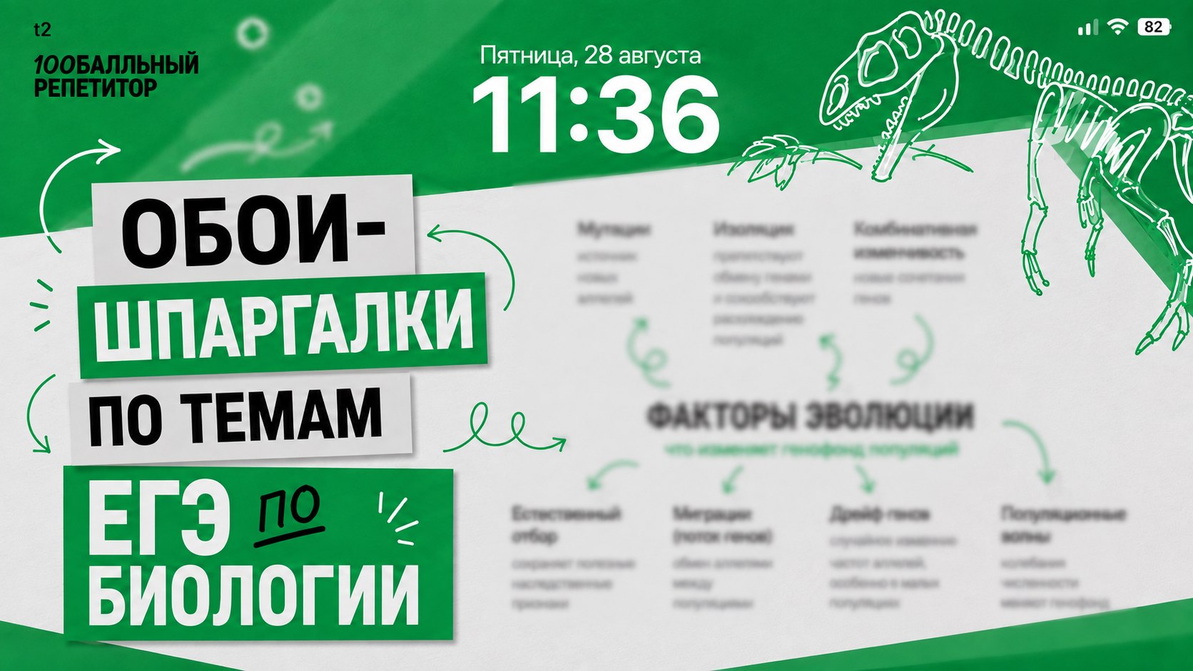 Катя Строганова | Химия ЕГЭ | 100балльный репетитор