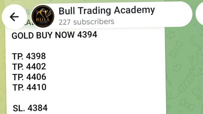 Bull Trading Academy