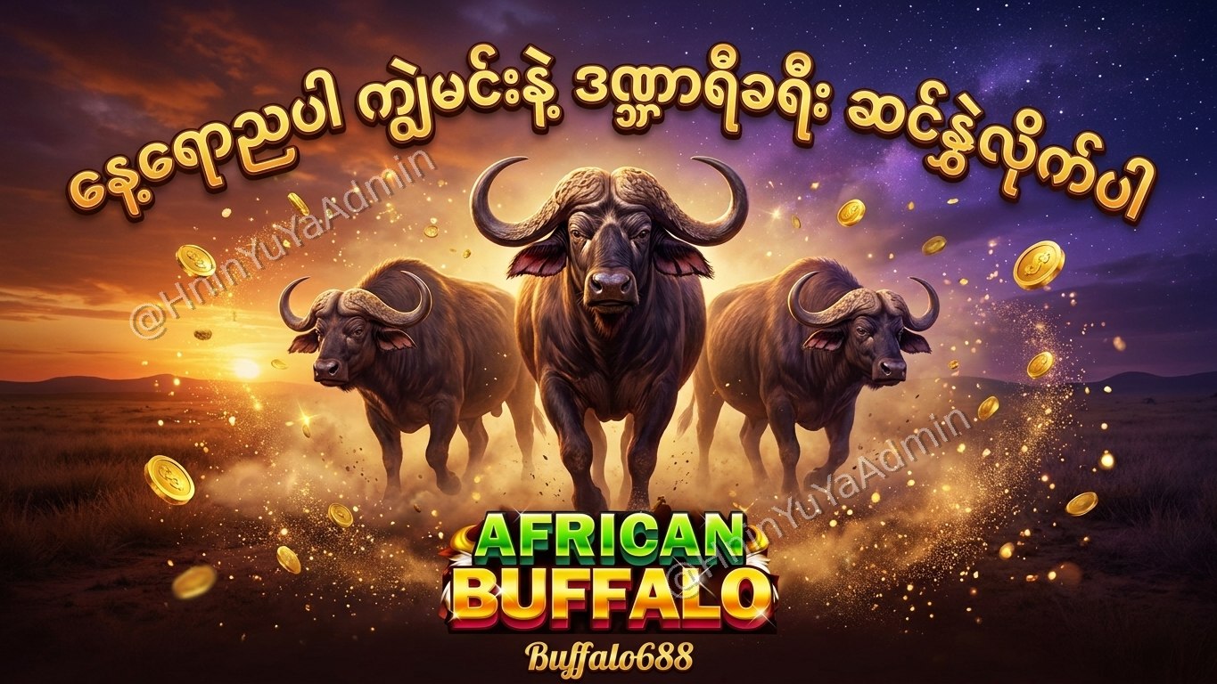 ကျွဲဂိမ်းအစစ် Buffalo688 ၊ကျွဲဘုရင် ၊ရှမ်းကိုးမီး၊ဘူကြီး