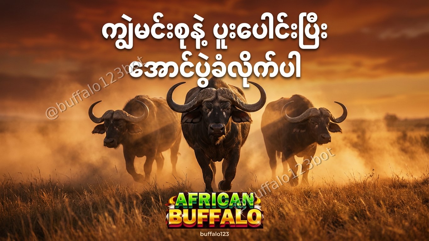 ကျွဲဂိမ်း Buffalo123 Official