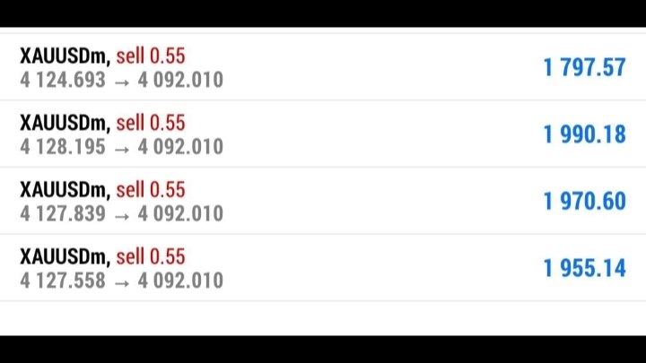 Turbo Traders International 🌎