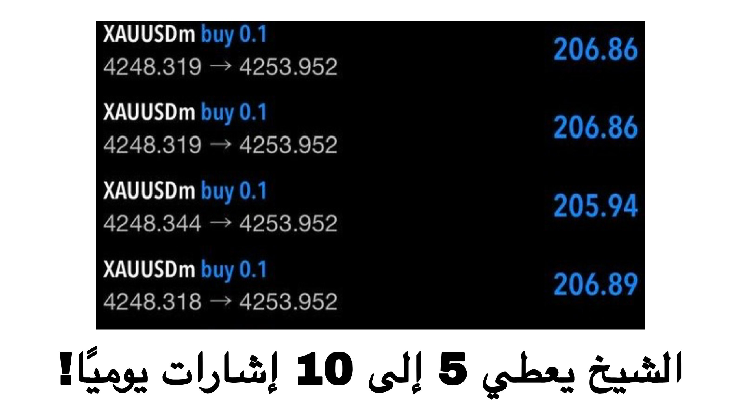 Sheikh Trader Gold 🇸🇩