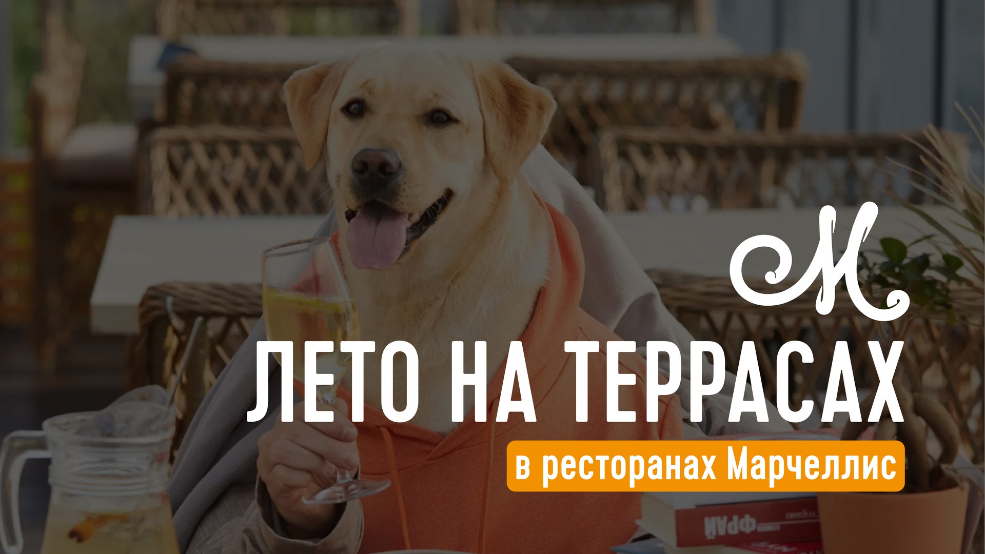 Марчеллис