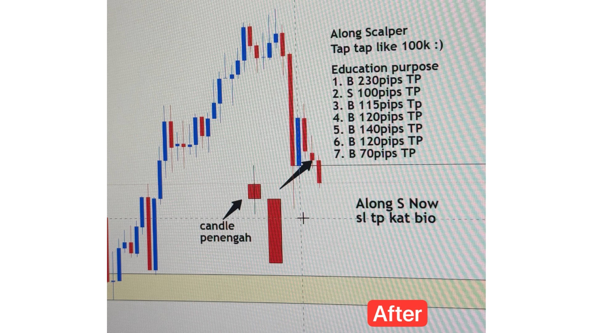 Along Gold Scalper
