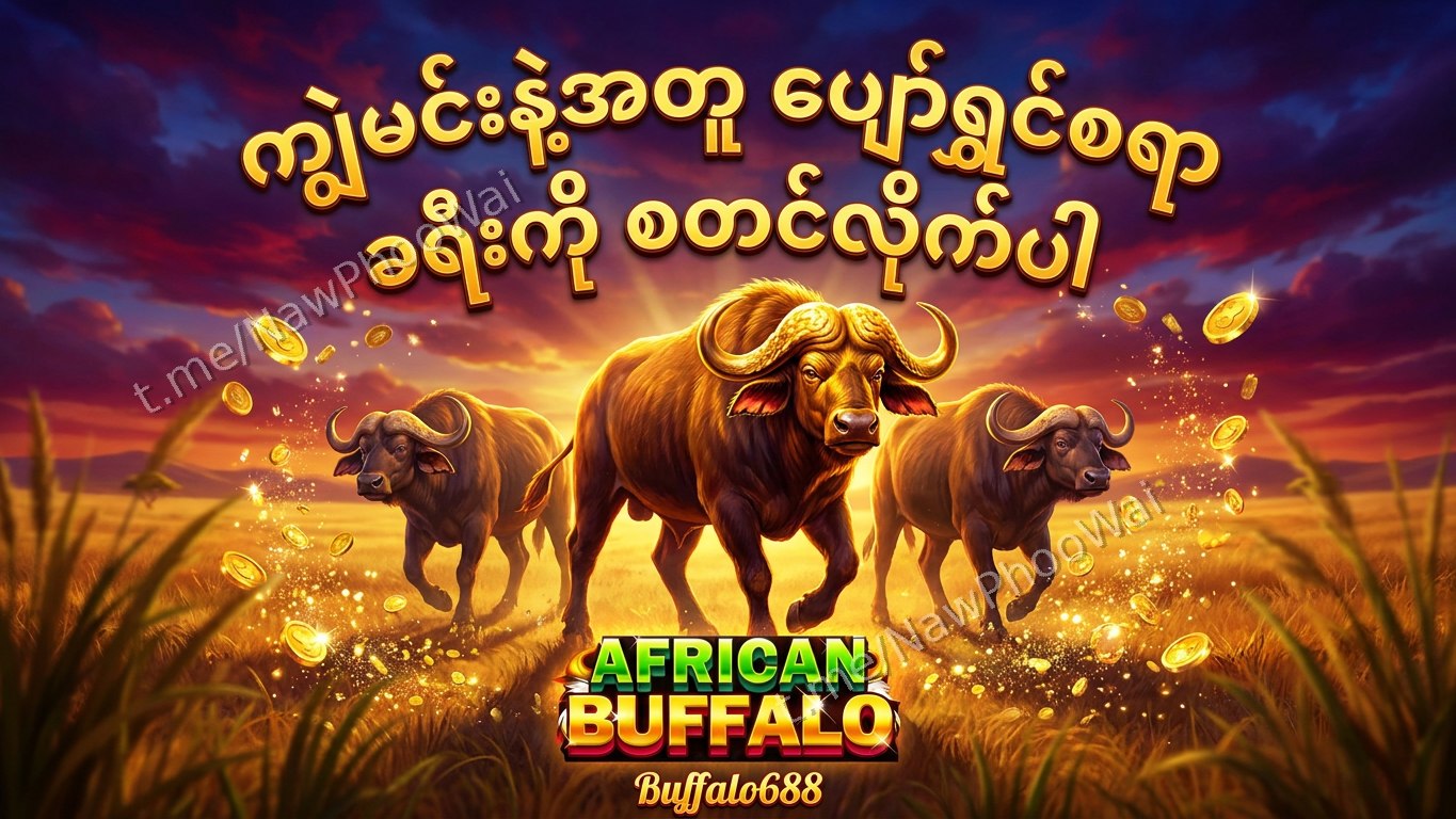 ⏰ ကျွဲဂိမ်း - နော်ဖူးဝေ 24 နာရီဝန်ဆောင်မှု