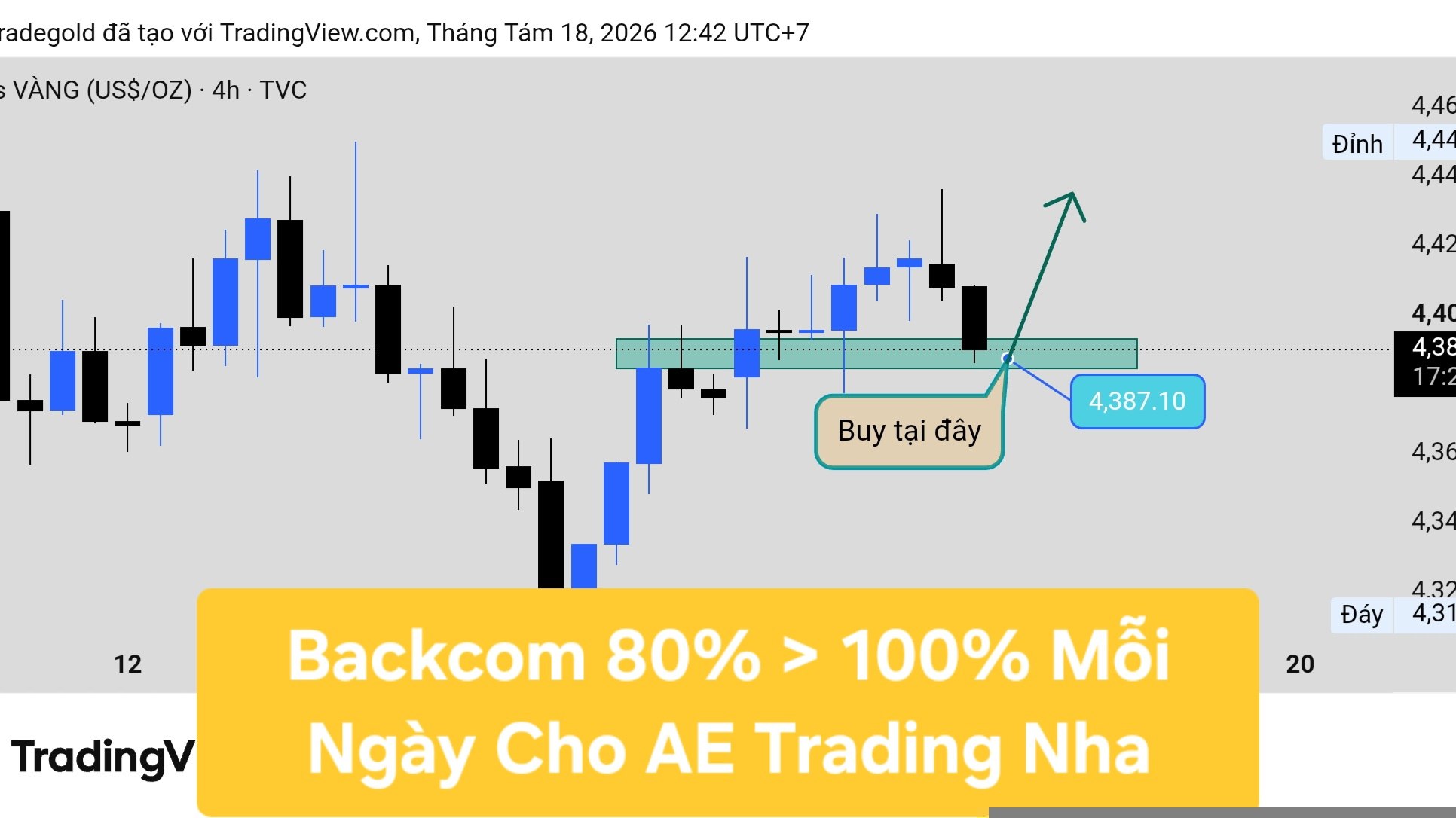 ALY TRADE GOLD