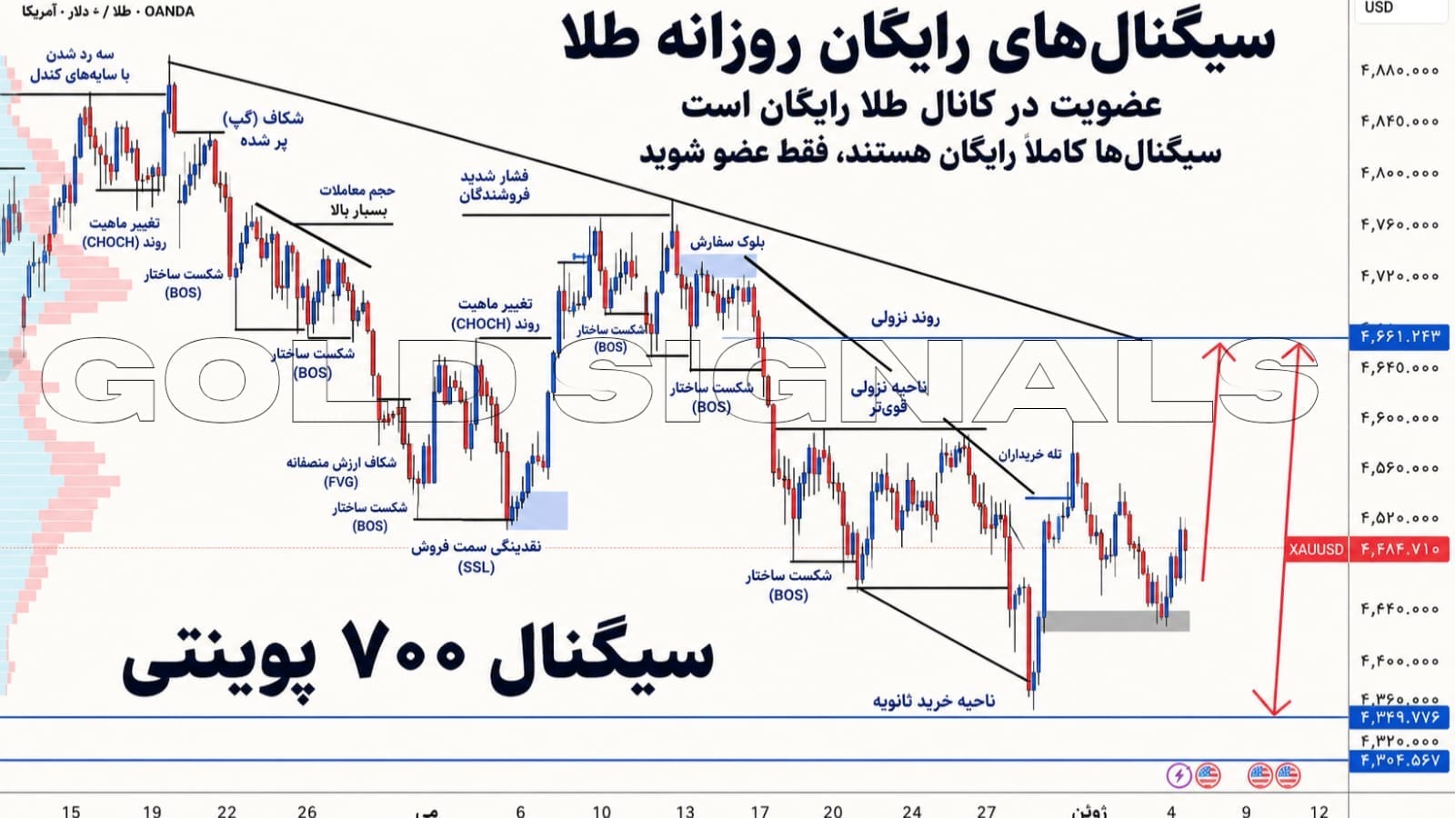 معاملهگر حرفهای طلا