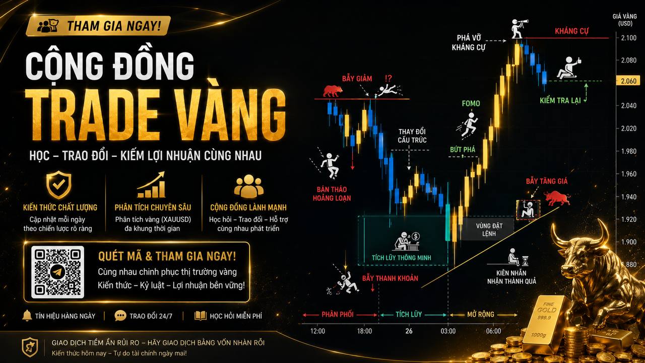 VN Forex Team