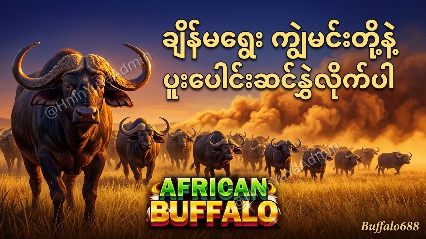 ကျွဲဂိမ်းအစစ် Buffalo688 ၊ကျွဲဘုရင် ၊ရှမ်းကိုးမီး၊ဘူကြီး