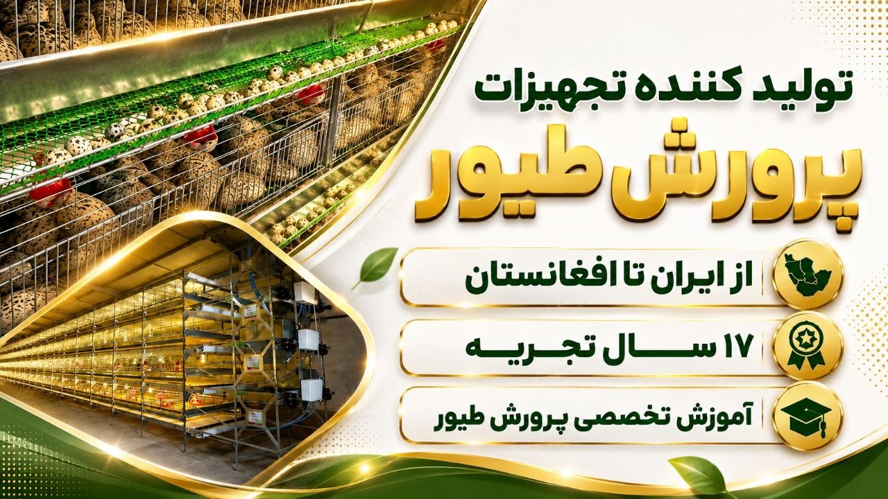 پرورش طیور با پرآور 🐓