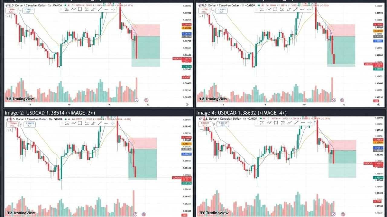 FOREX TRADER FA🚀