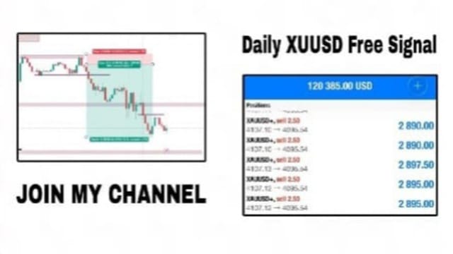 GOLD PRO TRADER
